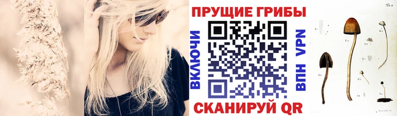 Псилоцибиновые грибы мухоморы кракен сайт Кумертау