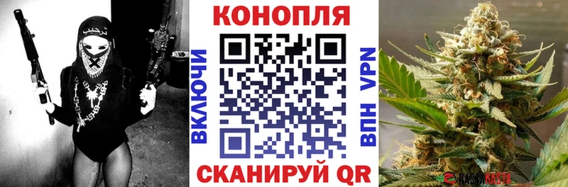 Шишки марихуана сатива магазин продажи наркотиков Кумертау